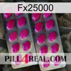 Fx25000 10